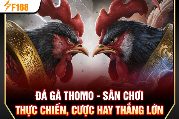 Đá Gà Thomo - Sân Chơi Thực Chiến, Cược Hay Thắng Lớn
