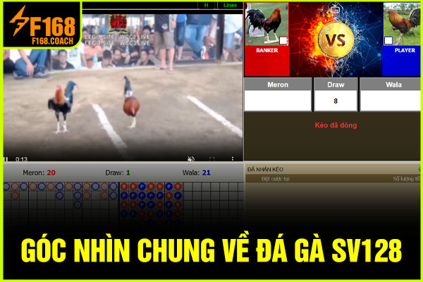 Góc nhìn chung về trang đá gà SV128