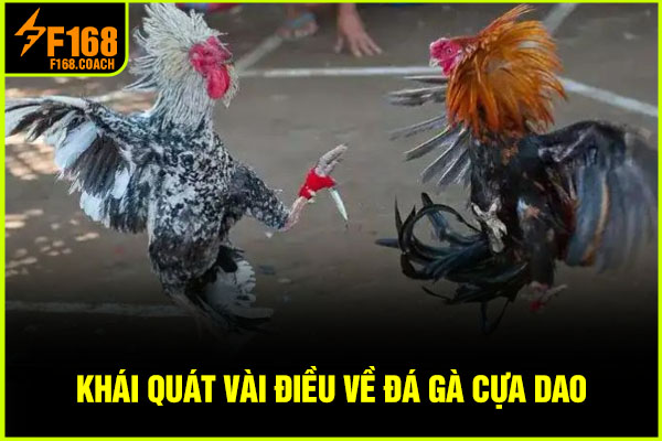 Khái quát vài điều về đá gà cựa dao